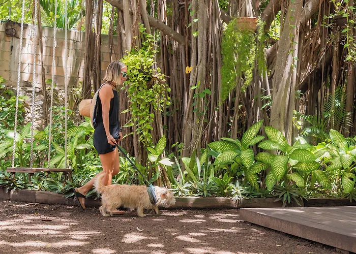 Hotel Casa Colonial Cozumel-dog Friendly Cozumel